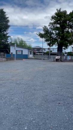 古代蓮を見ていたら…水天宮の御祭神 安徳天皇さまのお言葉他 前玉神社の御祭神からのメッセージの記事動画