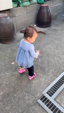 癒された。。の記事動画