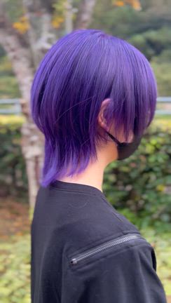 guest snap▷▷の記事動画