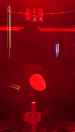 大阪万博の記事動画