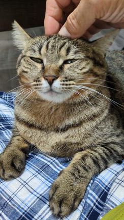 ハタ迷惑な値上げ？？？IN【三重】の記事動画