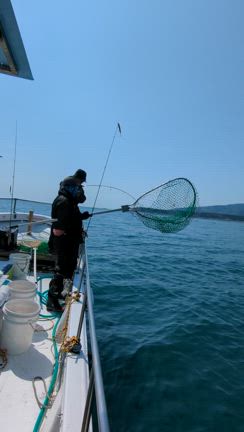 サクラマスじゃなく…桜色の動画の記事動画