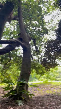 7月スケジュールの一部変更とNEWセラピスト！の記事動画