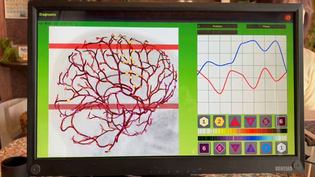 重要な事！の記事動画