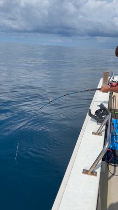 2日たて釣り便の記事動画
