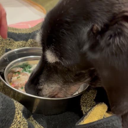 セラフ❣️16歳も頑張れ~~~の記事動画