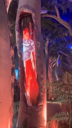 最後の大阪・関西万博の日⑦オーストラリア館とトルコアイスの記事動画