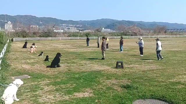 グループレッスンの記事動画