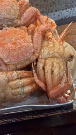 ４月６日（土）☆流氷あけて毛ガニがやってきたよー！と北寄貝とホタテ貝も北海道からの記事動画