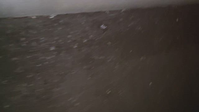 予測してた通り夜、もう1匹の子猫来た、捕獲！の記事動画