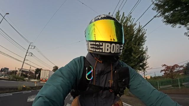 ぶんぶーん！の記事動画