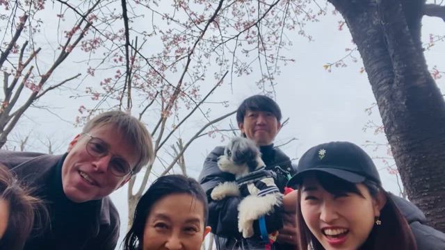 AIDアクティビティ2024の記事動画