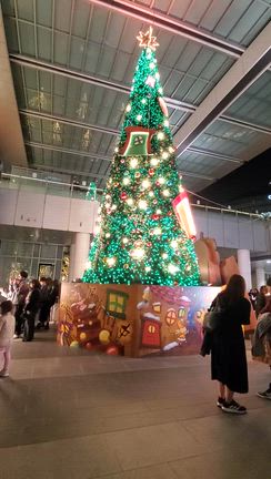 クリスマスイルミネーシ、とんぺら屋とMANO MAGIOで忘年会の記事動画