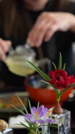 Nコレクションをショートムービーにの記事動画