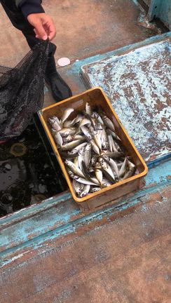 2025/10/22(水)の記事動画