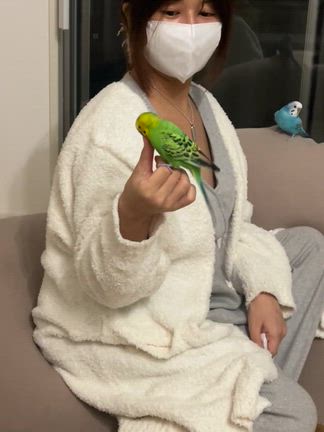 ペットのフリフリ問題に悩むの記事動画