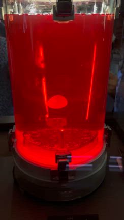 甥っ子ダウンから復活灼熱の万博2025の記事動画