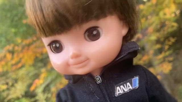 高き理想の記事動画