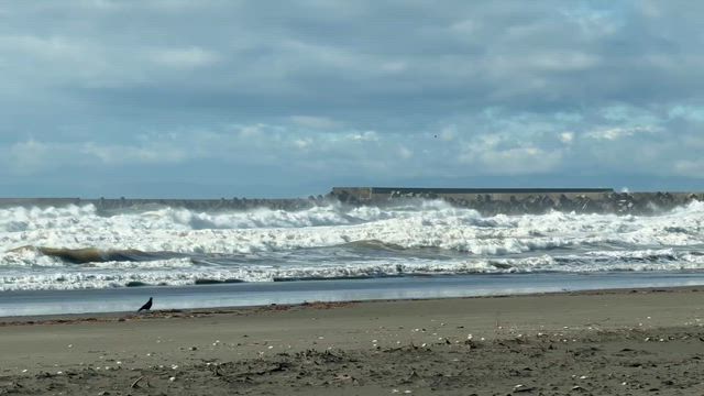 浜厚真　１０時００分の記事動画