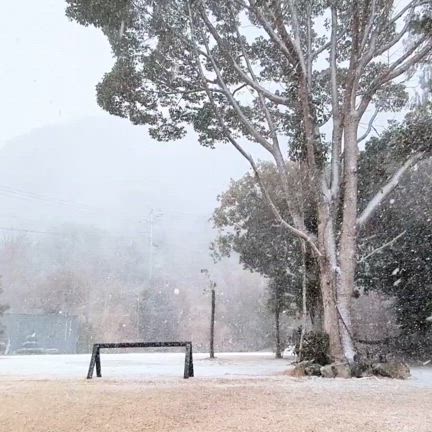 カクカクシカジカで雪は幻のように…の記事動画