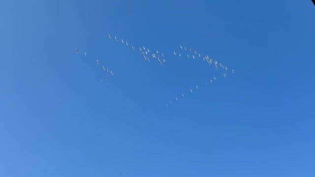 おはようございますの記事動画