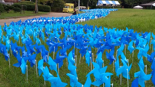 水間門前町で、水をテーマにアートが出会う。の記事動画