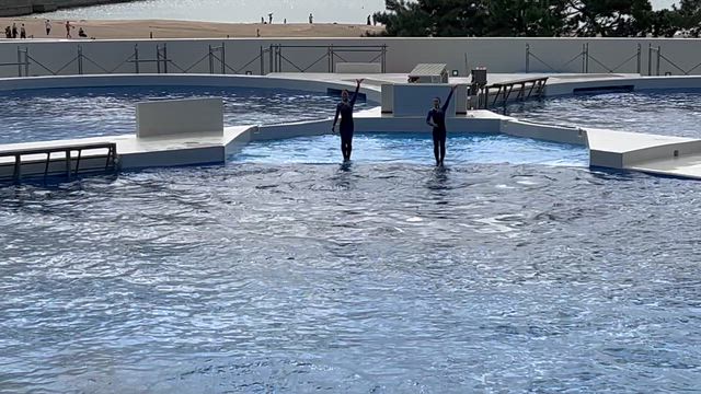 神戸須磨シーワールド（スマシー）の記事動画