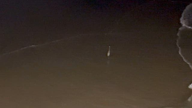 南カリフォルニアを8泊で往復ドライブの旅♬ と、ウチでたまげた出来事が！の記事動画