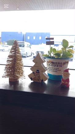 【各務原ランチ】MOONGA CAFE で40年ぶりの再会❤️の記事動画