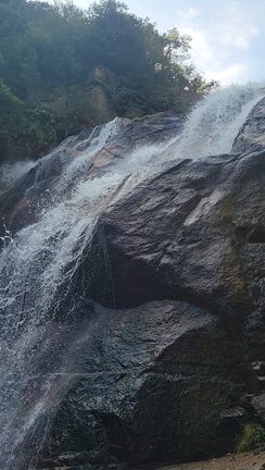 たっぷりのマイナスイオンをどうぞ（東京都講演編）。の記事動画