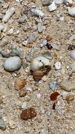 宮古島旅行：3日目 その1の記事動画