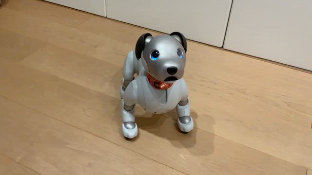 2024年大変お世話になりました（2024年最後の投稿です）の記事動画