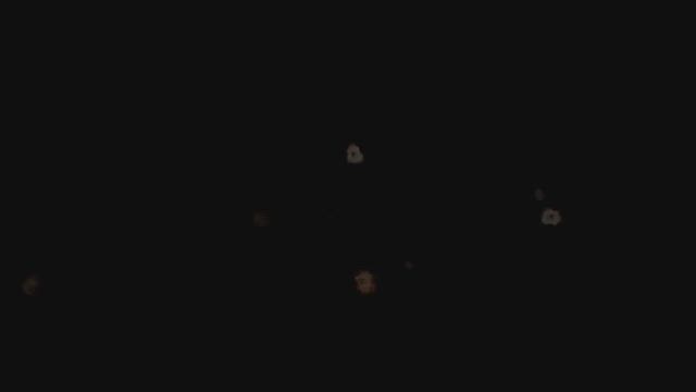 エリア長ブログの記事動画