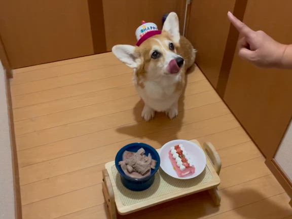 2024/02/01の記事動画