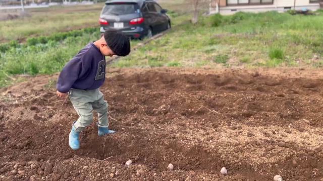 今季もいよいよ出店です！の記事動画