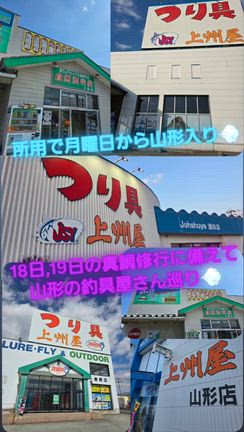山形庄内日本海真鯛修行準備!!の記事動画