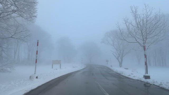 弘前満喫の記事動画