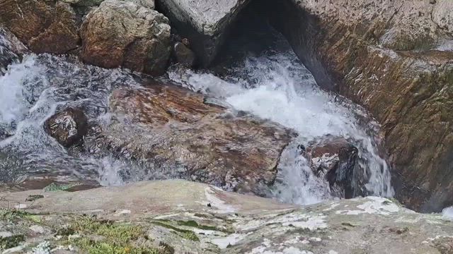 かき氷、侮ってましたの記事動画