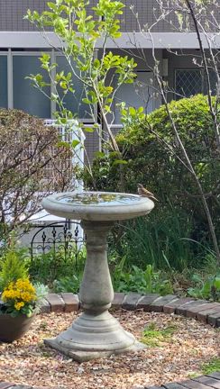 カフェでひと息の記事動画