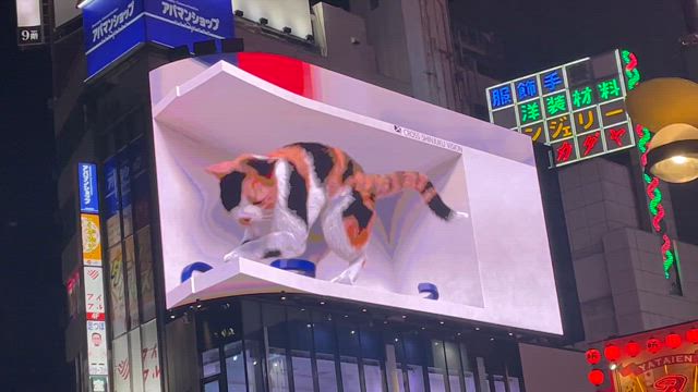 刺激的の記事動画