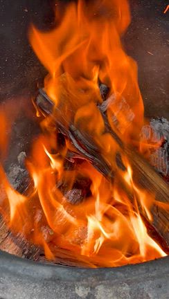 湯気までおいしい！焚き火×蕎麦打ち×直火けんちん【野外温活堂レポ】の記事動画