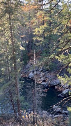 シャスタ旅行 Day4: McCloud 3 Fallsの記事動画