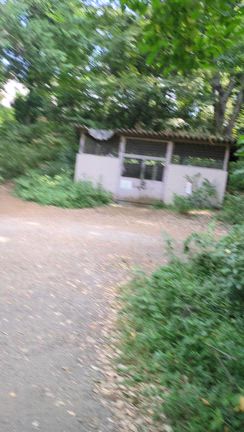 この測定結果にびっくりしたから、吉祥寺で豪遊(笑)の記事動画