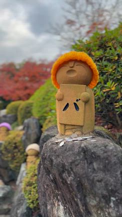 大人気♪秋のバスツアーに行ってきました！①宝徳寺の床紅葉の記事動画