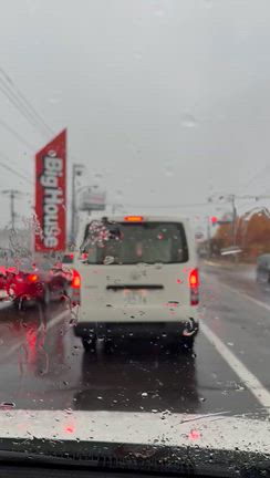 みぞれ　(T ^ T)の記事動画