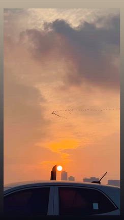 夕暮れの空と。鳥と。｜ソ・ジフン篇の記事動画