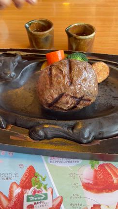ディズニー並に並ぶハンバーグの正体　「さわやか」に行ってきたの記事動画