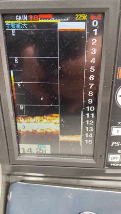 釣果報告の記事動画