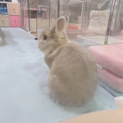 極寒の記事動画