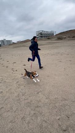 愛犬のいる暮らし♡の記事動画